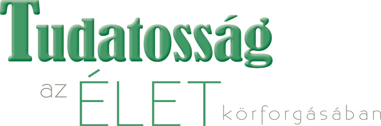 Sony_HDV-Z7-camcorder